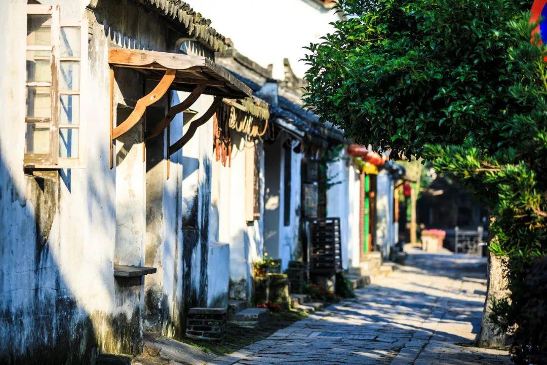 市体育局系统直属单位党组织负责人述职评议会举行